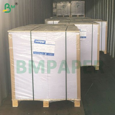 Microonde e forno PET rivestimento carta scodella buona sigillabilità