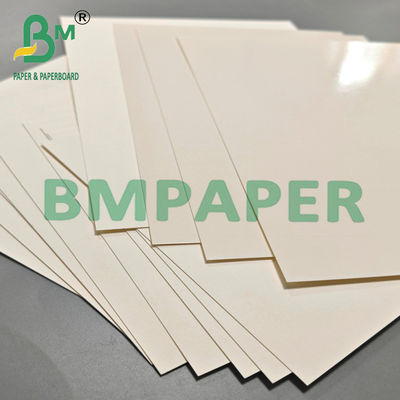 Carta Kraft laminata PET 70x100cm per ristoranti 24pt