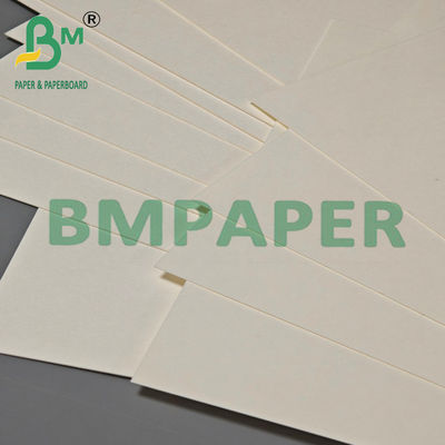 Carta Kraft laminata PET 70x100cm per ristoranti 24pt