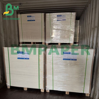 Carta Kraft laminata PET 70x100cm per ristoranti 24pt