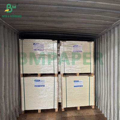 Carta per imballaggio alimenti surgelati ad alta rigidità 275 g/m² + 15 g PE, 635 x 902 mm