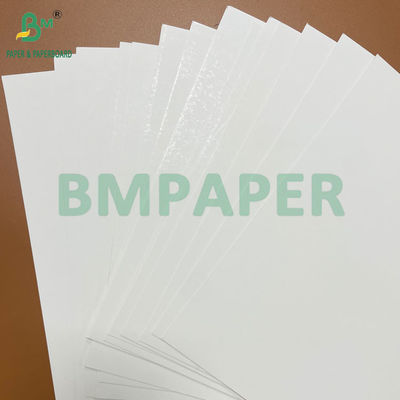 Buona resistenza 250g - 400g Blister Cardboard Roll termicamente sigillabile Larghezza 1041mm