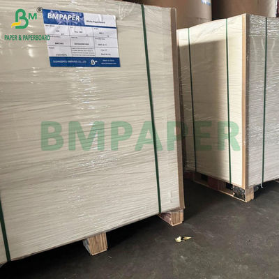 Buona resistenza 250g - 400g Blister Cardboard Roll termicamente sigillabile Larghezza 1041mm