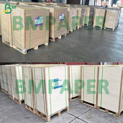 Carta base per contenitori bianchi per zuppa/ciotola da 280 g/m² e 300 g/m² con e senza rivestimento