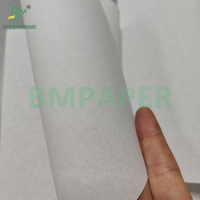 Carta da filtro per caffè in polpa di bambù bianca e marrone da 35 g/m² e 50 g/m² per caffè filtro