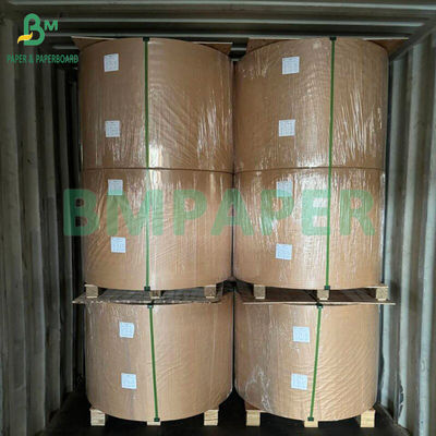 Carta da filtro per caffè in polpa di bambù bianca e marrone da 35 g/m² e 50 g/m² per caffè filtro