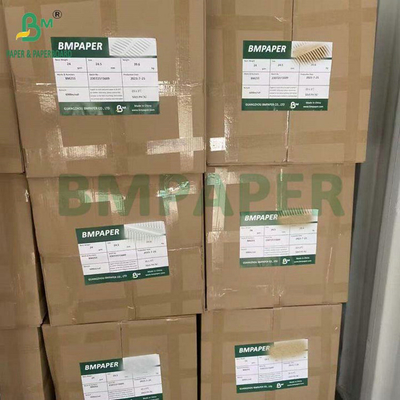 Carta di filtro per caffè di qualità alimentare sbiancata non sbiancata 40GSM 50GSM rulli di carta 1200 mm