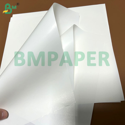 Larghezza 61cm Carta ad alta resistenza all'umido 68gsm 70gsm per etichette bottiglie per bevande