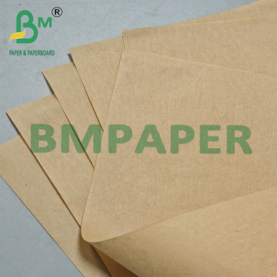 21 - 28 gm 440 mm Rollo di carta filtrabile per caffè marrone compostabile