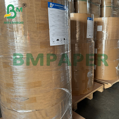 21 - 28 gm 440 mm Rollo di carta filtrabile per caffè marrone compostabile