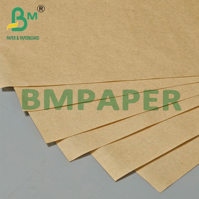 21 - 28 gm 440 mm Rollo di carta filtrabile per caffè marrone compostabile