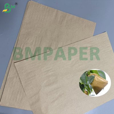 55g 80g Carta Kraft Marrone per Insacchettamento Frutta Protezione UV e Antiparassitari per Pesche/Pere