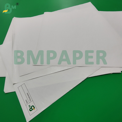 Rotolo Jumbo di Carta Termica 70gsm 75gsm per Bancomat 400MM 790MM Senza BPA