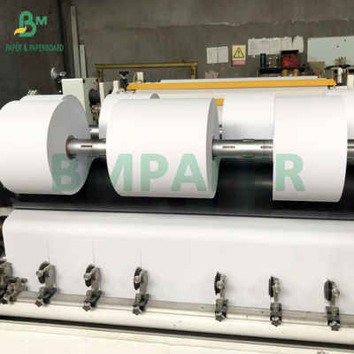 Immagine nera 55gm 65gm 75gm 80gm Carta termica rivestita in cima Jumbo Roll