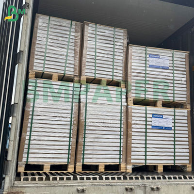 300g 350g 900mm 1000mm Carta pieghevole resistente al gelo stampabile per scatole di cibo surgelato