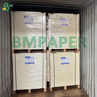 Cartone di carta da cucina bianco rivestito Convegno surgelato Cartone di carta per la conservazione della bistecca