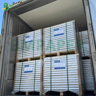 55gsm 60gsm Carta Autocopiante NCR Senza Carbonio Fogli Estesi Bianchi 70x100cm 61x86cm