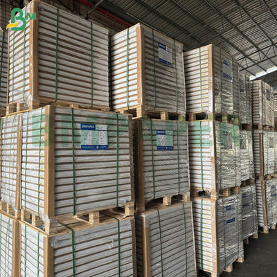 55gsm 60gsm Carta Autocopiante NCR Senza Carbonio Fogli Estesi Bianchi 70x100cm 61x86cm