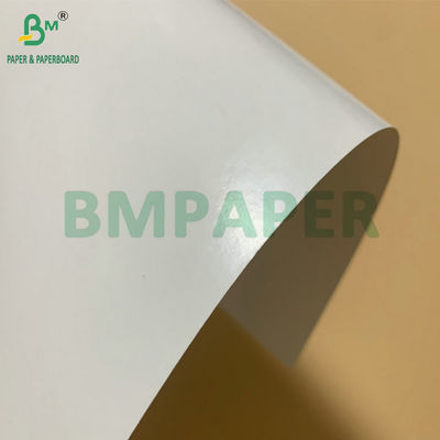 SBS Cartone congelato PE rivestito 325gm Per la realizzazione di scatole di imballaggio di gamberetti congelati