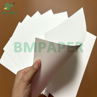 300 gm 350 gm 400 gm rivestimento 1 lato Bristol Paper Board per scatola pieghevole 22,5 " × 28,5 "