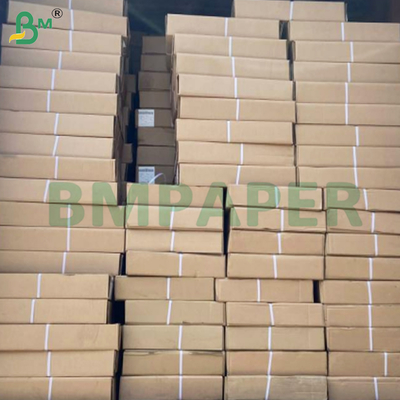 Rotoli di carta per plotter CAD ad alta precisione da 20 libbre per disegni professionali