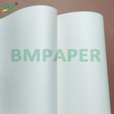 Fogli di carta per coppe con rivestimento in PE resistente al calore