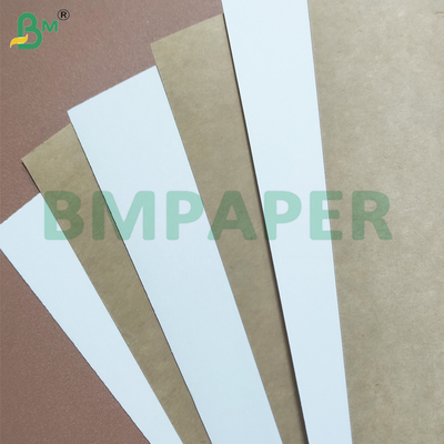 Fogli di carta per coppe con rivestimento in PE resistente al calore
