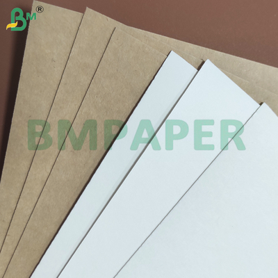 Fogli di carta per coppe con rivestimento in PE resistente al calore