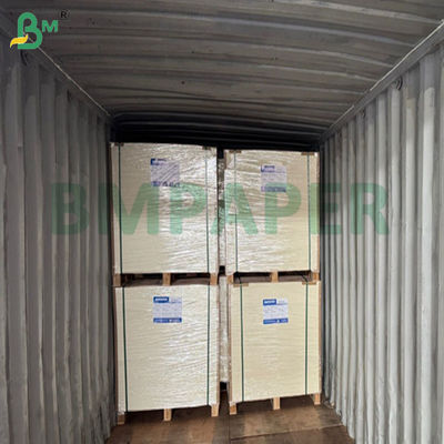 Carta CupStock opaca da 240 g/m² + 15PE per la produzione di secchielli per popcorn 61 x 86 cm