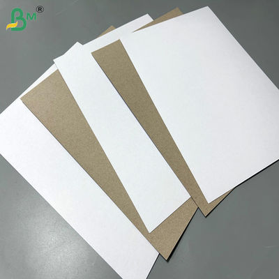 230gram 250gram Anti Mould Coated Duplex Board For Soap Package 700 -900mm