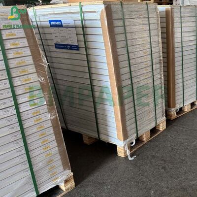 Carta Copiativa NCR CB CFB CF 55gr 60gr 65gr 70gr 75gr Senza Carbonio in Rotolo