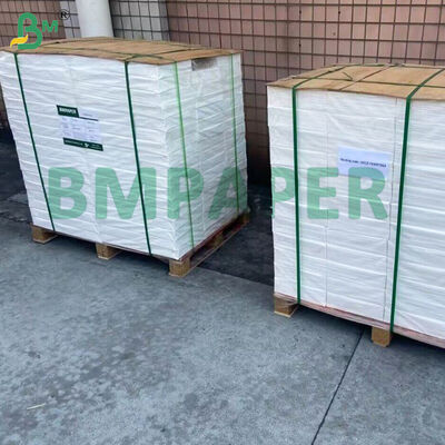 Carta base per etichetta bottiglia di birra, un lato argento e oro, un lato bianco