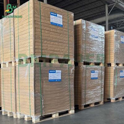 12pts 14pts 16pts 18pts 24pts C1S carta bianca in grande quantità