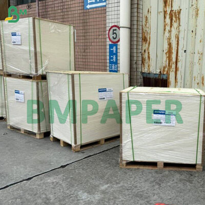 Carta speciale per ciotole e piatti per alimenti / Carta per piatti, rivestita in PET