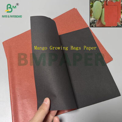56gm 380mm 400mm Pest Prevention Mango Growing Bags Carta per proteggere i frutti