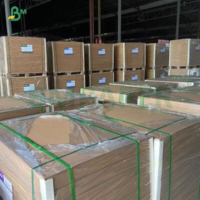 260GSM+ 18GSM FDA Carta Kraft di Bambù Degradabile Con Carta Coppa Rivestita PE / PLA