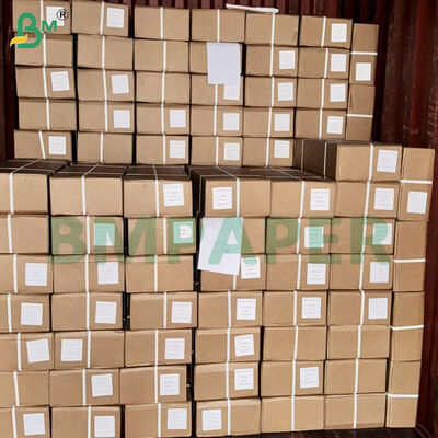 Rotoli di carta da lucido traslucida da 85 g/m² per disegno professionale