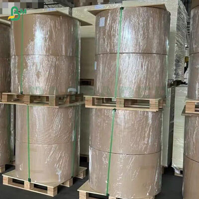 65 gm 70 gm Carta da etichetta da birra a un lato lucida ad alta resistenza al bagnato