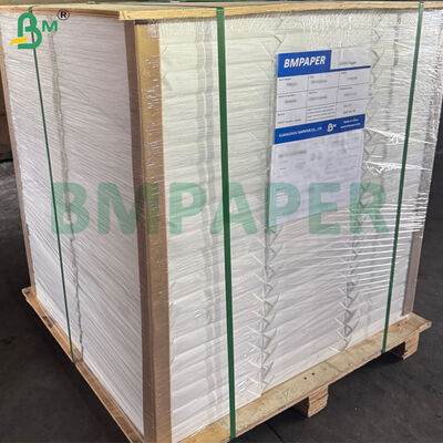 Carta per acquerello 100% cotone a grana ruvida per artisti, 300 g/m², formato 70 cm x 50 cm