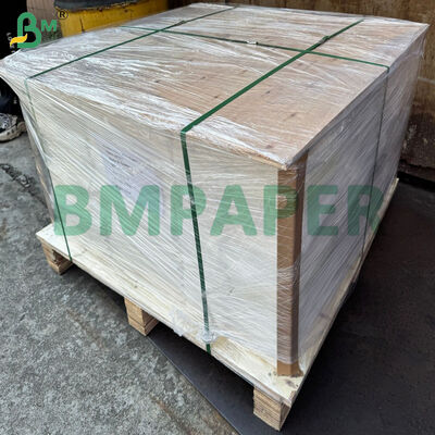 Tovaglioli di carta traforati in pergamena da forno per uso alimentare 50 g/m² per la cottura di pirottini per muffin