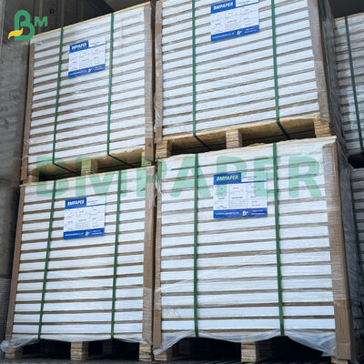 Rotoli di carta patinata C2S lucida bifacciale da 210 g/m² 31*43 pollici