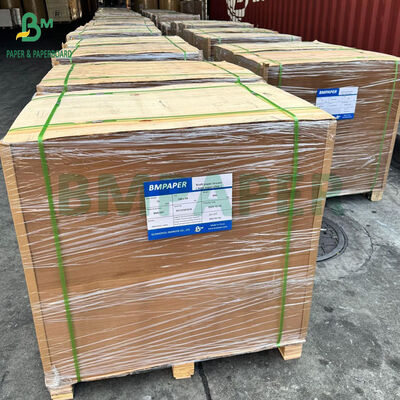 Carta pergamena oleata da 40 g/m² per vassoio di carta per friggitrice ad aria, fodera di carta 8,5 x 11 pollici