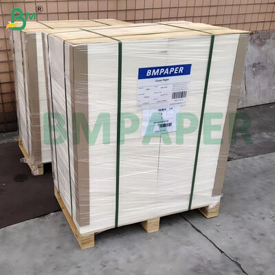 100 libbre, 270 grammi, bianco, senza rivestimento, borda di Bristol liscia, 22" x 30".