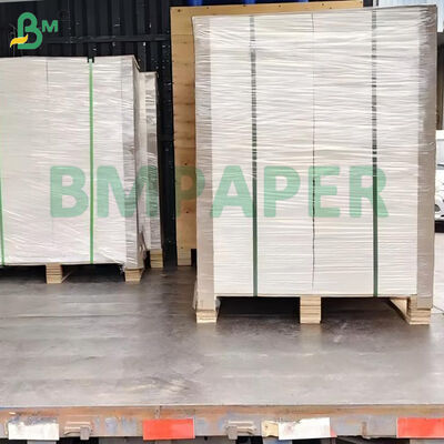 100 libbre, 270 grammi, bianco, senza rivestimento, borda di Bristol liscia, 22" x 30".