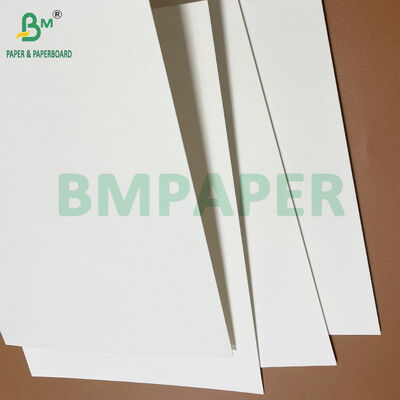 Cartoncino assorbente bianco da 350g 390g 480 X 330mm a grana corta per sottobicchieri