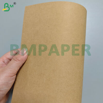 210 gm+18 gm PE rivestito non permeabile Noodle Bowl Base Paper Rolls