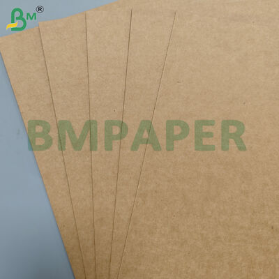 210 gm+18 gm PE rivestito non permeabile Noodle Bowl Base Paper Rolls