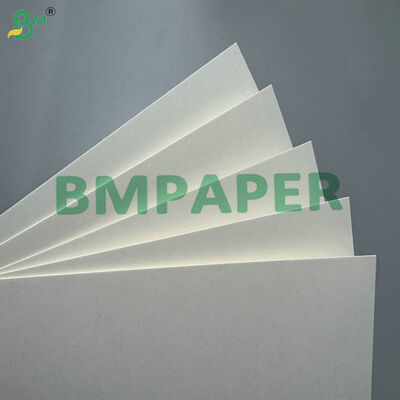 Food Grade PE Coated 210g 235g Paper Board – Leak-Proof Cardboard for Hot Soup Bowls
