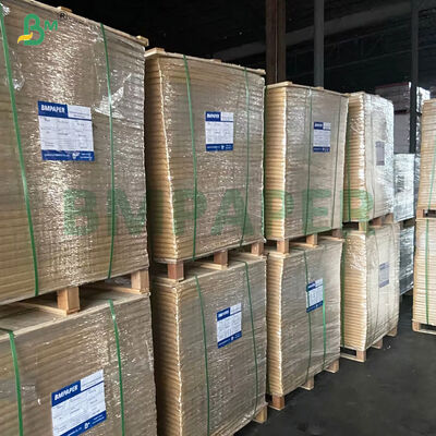 Grado alimentare doppio lato PE rivestito di carta scodella carta base 250 ∼ 350 gm per secchio di noodle istantaneo