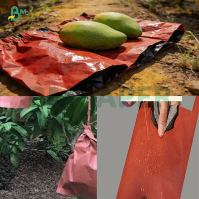 Acqua resistente antiparassita sacchetto per la coltivazione del mango carta 56 gm rosso anti scottature da sole